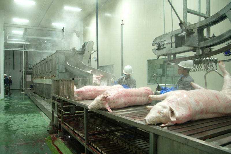 Planta Procesadora de Carne de Cerdo para Chaishan Foods